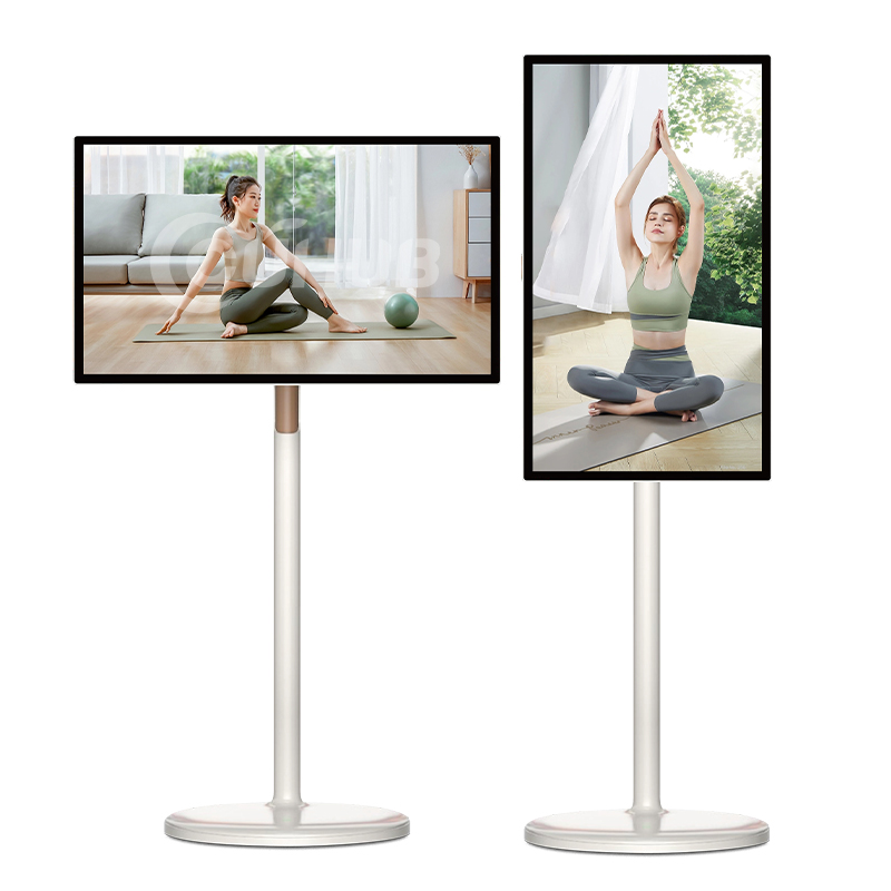 Portable Mobile Screen